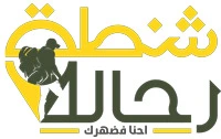 ahmed ali has worked as an SEO specialist for backpacker-eg